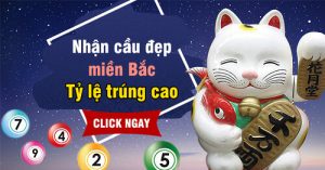 Cầu Bạch Thủ Miền Bắc – Thống Kê Soi Cầu Bạch Thủ XSMB Mới Nhất